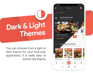 App feature: Dark & Light Themes