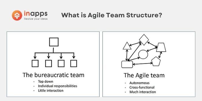 agile-team-structure