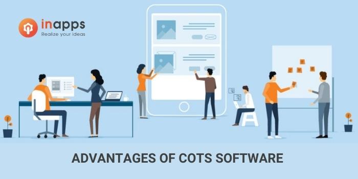 cots-software-advantages