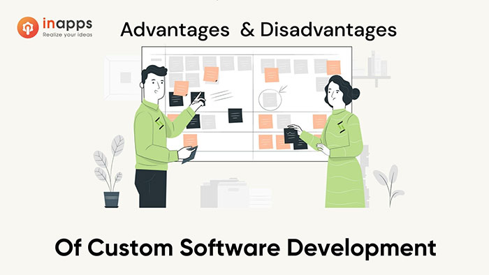 Strengths and limitations of custom software development