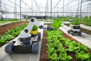 Examples of Robots in Farming