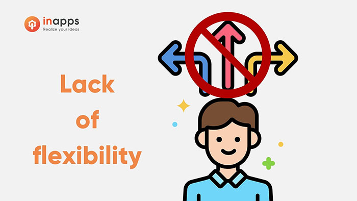 Lack of flexibility is one of why software projects fail