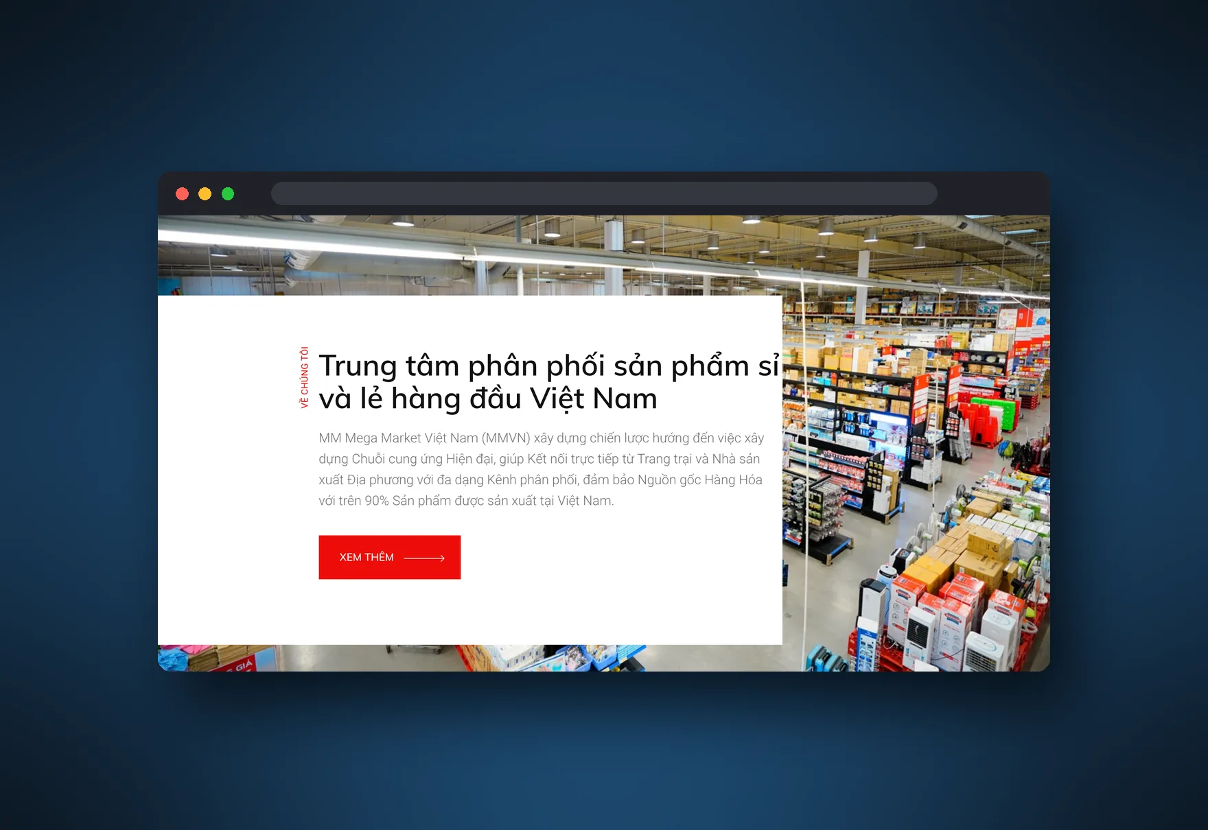 The About section of mmvietnam.com in a browser window: a white card headed Trung tâm phân phối sản phẩm sỉ và lẻ hàng đầu Việt Nam over a photo of a Mega Market store floor